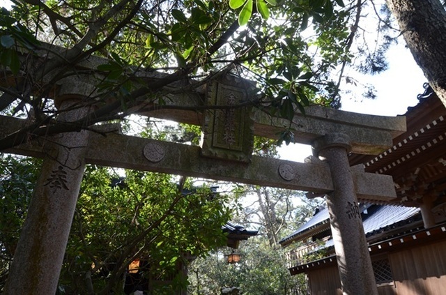 DSC_4477.JPG