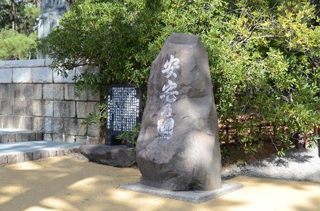 DSC_4479.JPG