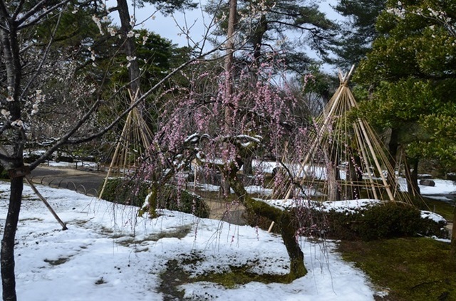 DSC_4684.JPG