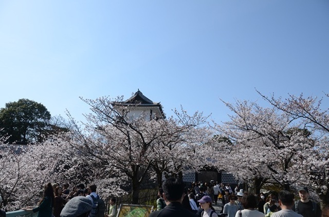 DSC_4953.JPG