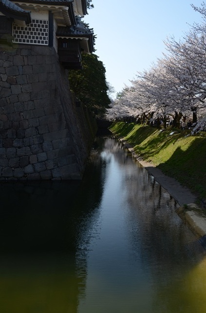 DSC_4954.JPG