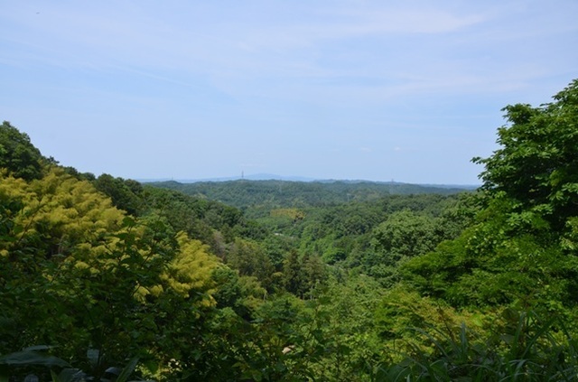 DSC_5199.JPG
