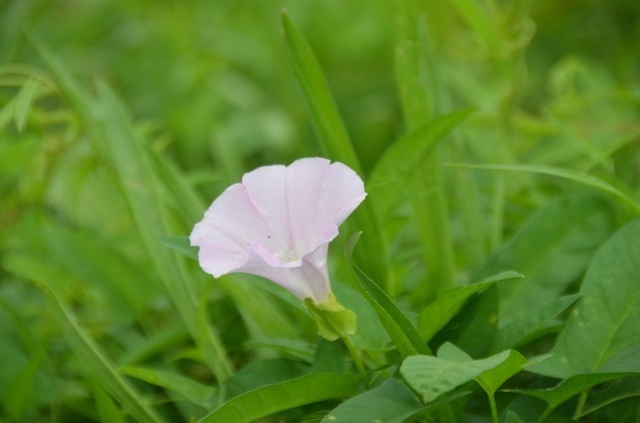 DSC_5585.JPG