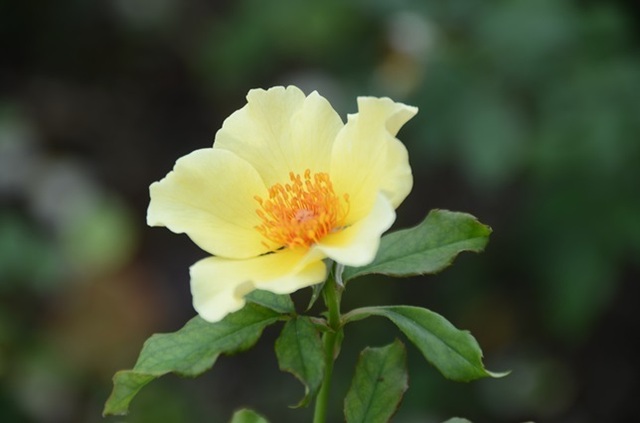 DSC_5689.JPG