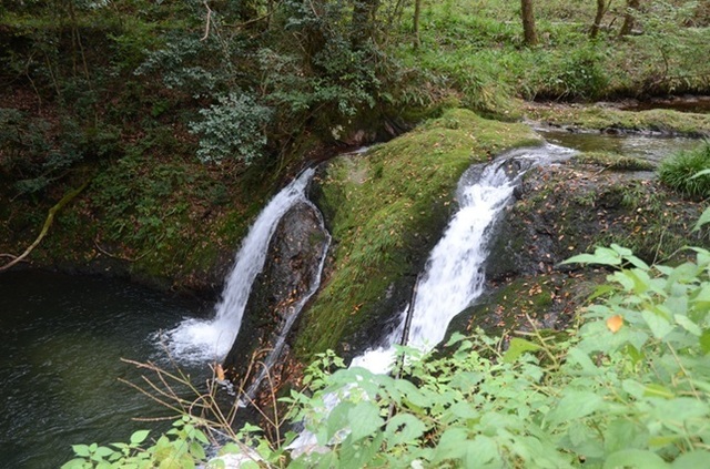 DSC_5906.JPG