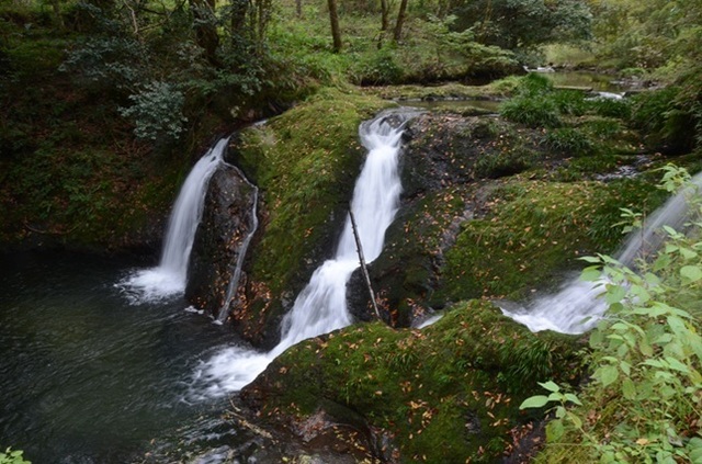 DSC_5908.JPG
