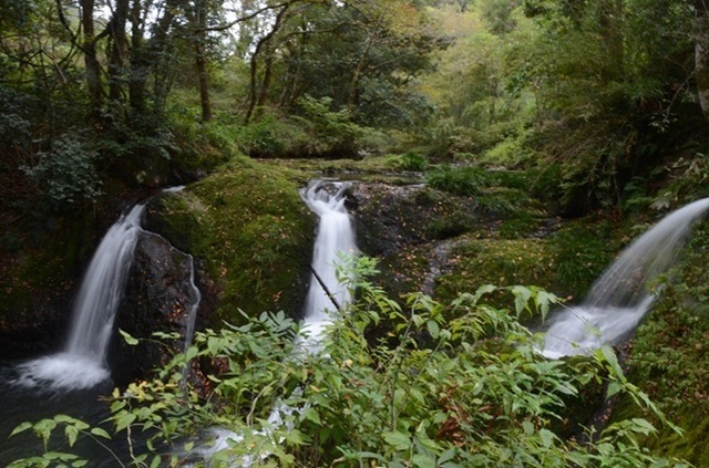 DSC_5913.JPG