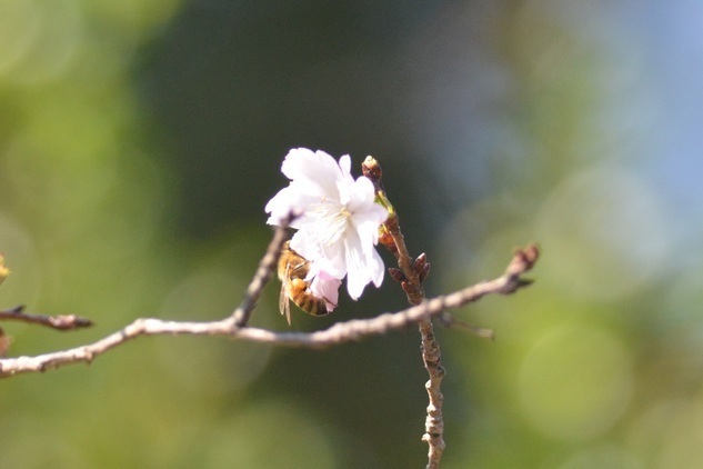 DSC_5986.JPG