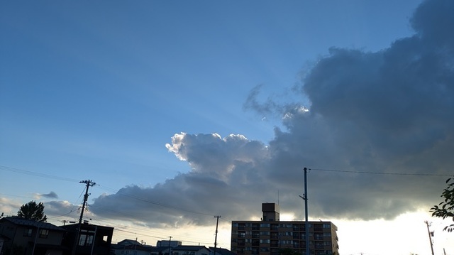 PXL_20240811_085517846.jpg