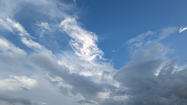 PXL_20240824_075515473.jpg