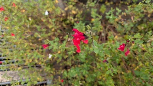 PXL_20241006_004807299.jpg