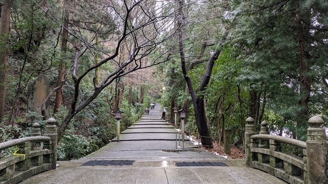 PXL_20250101_233456453.jpg