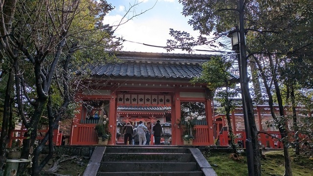 PXL_20250102_003317772.jpg